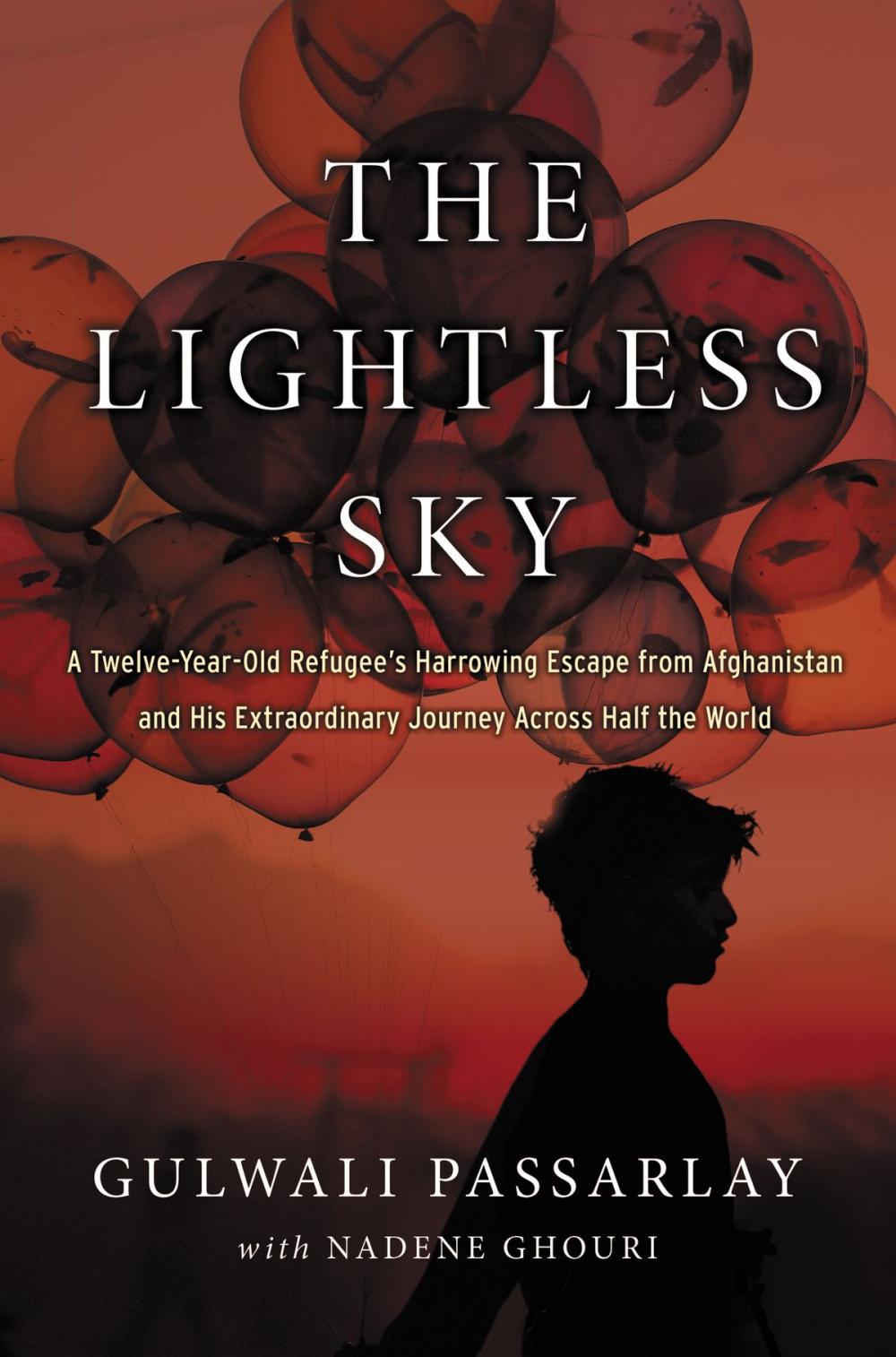 Big bigCover of The Lightless Sky