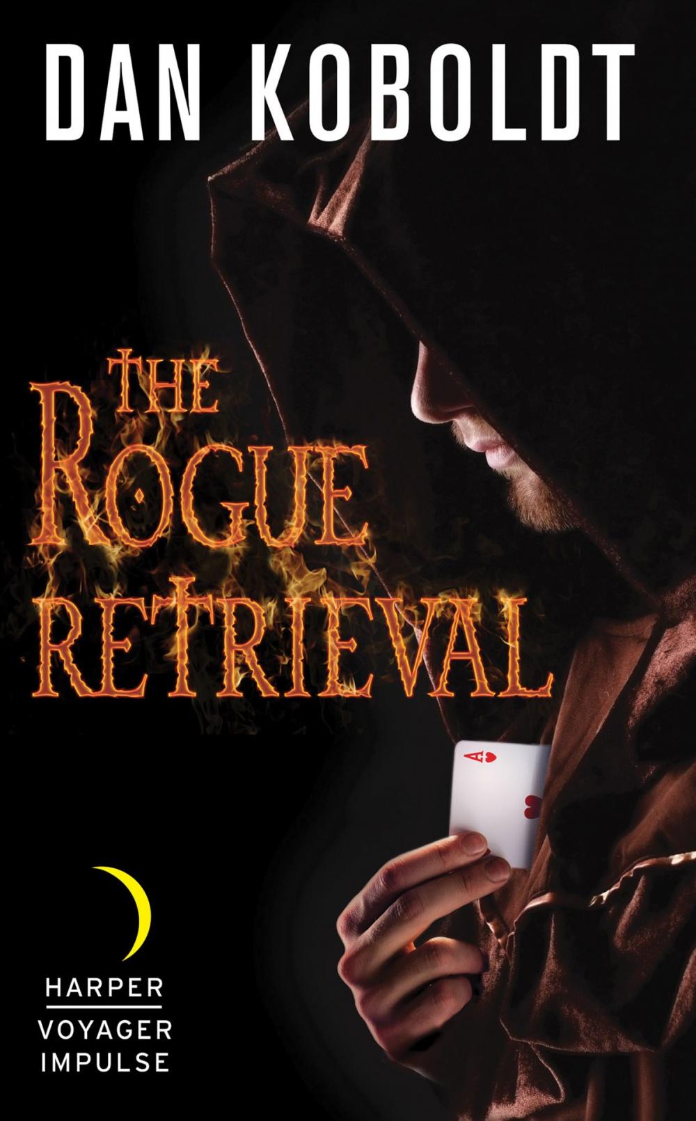 Big bigCover of The Rogue Retrieval