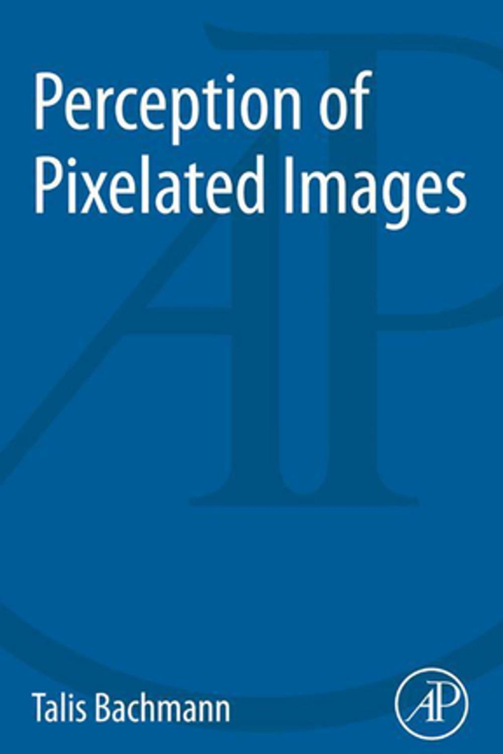 Big bigCover of Perception of Pixelated Images