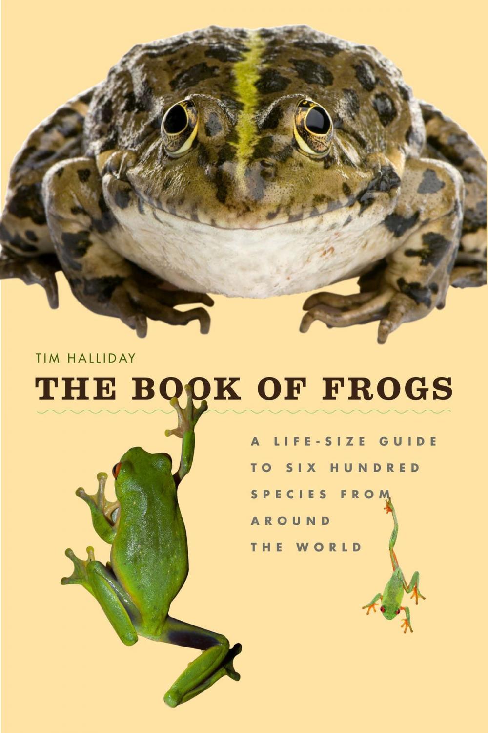 Big bigCover of The Book of Frogs