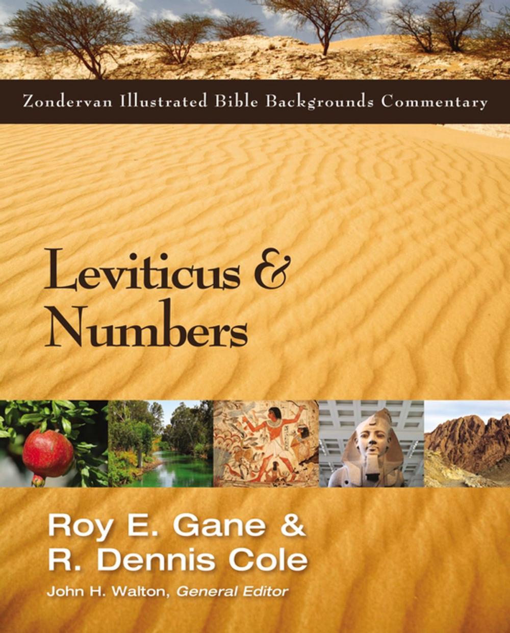 Big bigCover of Leviticus and Numbers