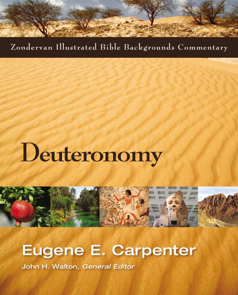 Big bigCover of Deuteronomy