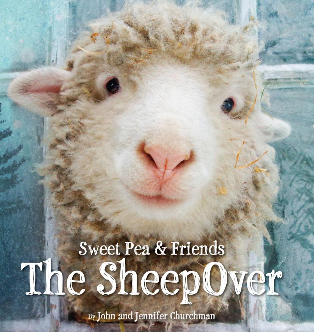 Big bigCover of The SheepOver