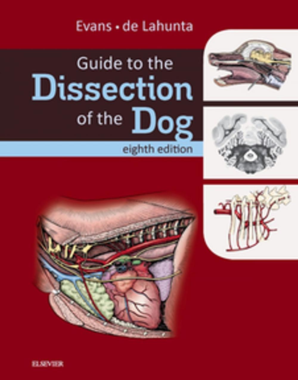 Big bigCover of Guide to the Dissection of the Dog - E-Book