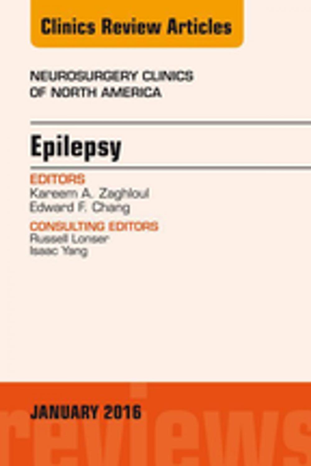 Big bigCover of Epilepsy, An Issue of Neurosurgery Clinics of North America, E-Book