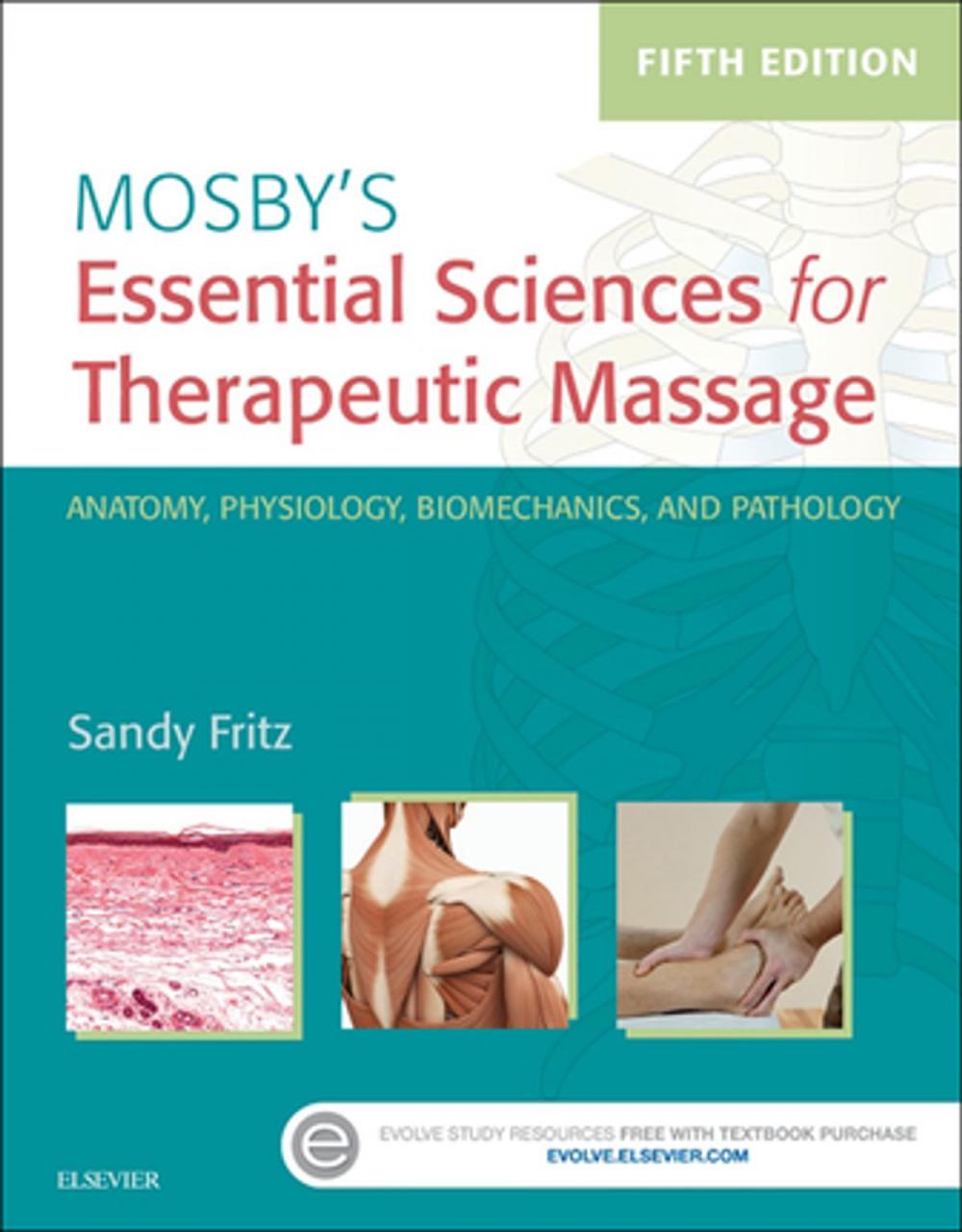 Big bigCover of Mosby's Essential Sciences for Therapeutic Massage - E-Book