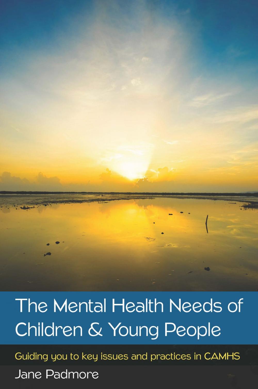 Big bigCover of The Mental Health Needs Of Children & Young People: Guiding You To Key Issues And Practices In Camhs