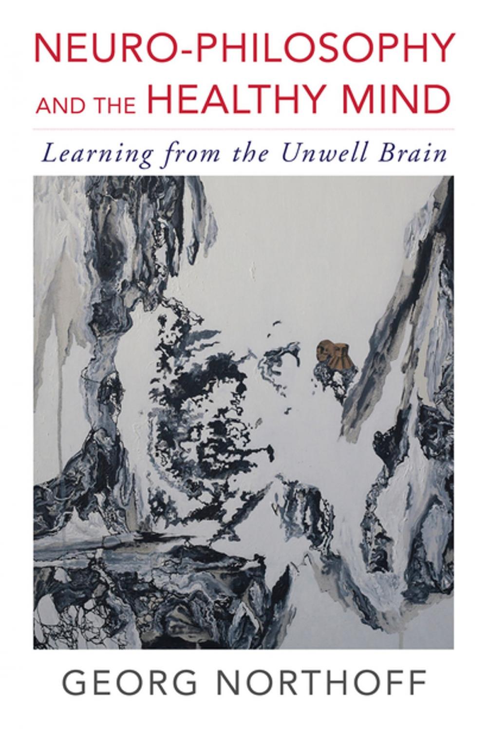 Big bigCover of Neuro-Philosophy and the Healthy Mind: Learning from the Unwell Brain