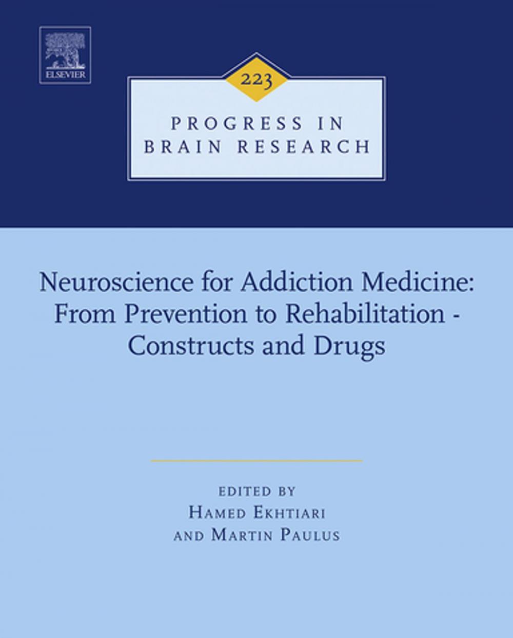 Big bigCover of Neuroscience for Addiction Medicine: From Prevention to Rehabilitation - Constructs and Drugs