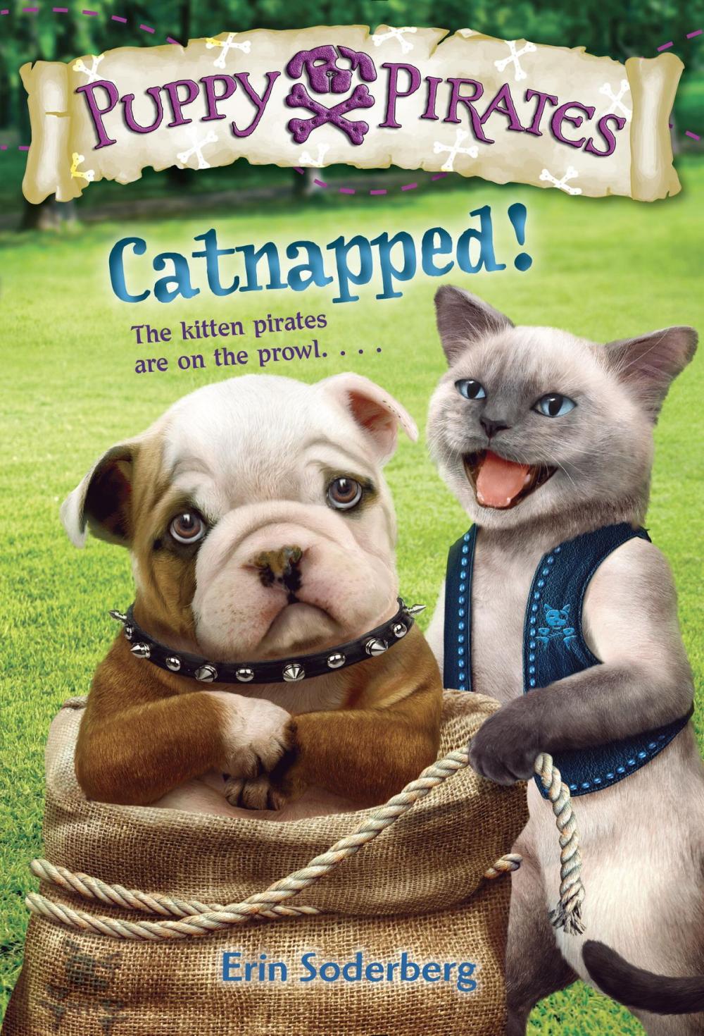 Big bigCover of Puppy Pirates #3: Catnapped!