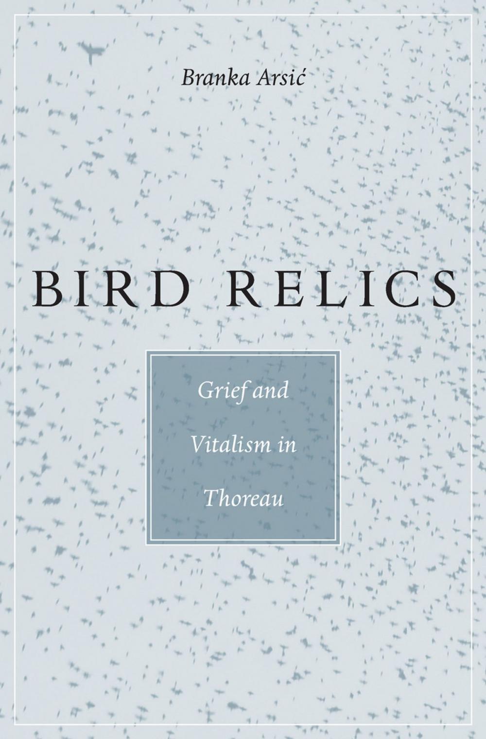 Big bigCover of Bird Relics