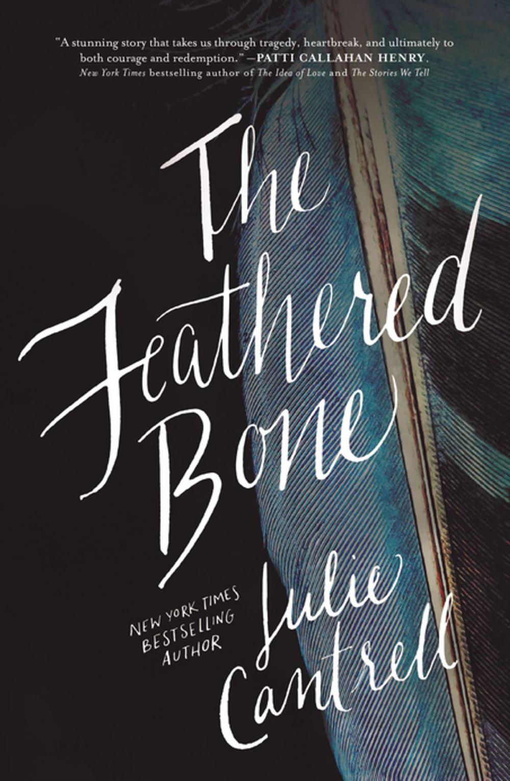 Big bigCover of The Feathered Bone