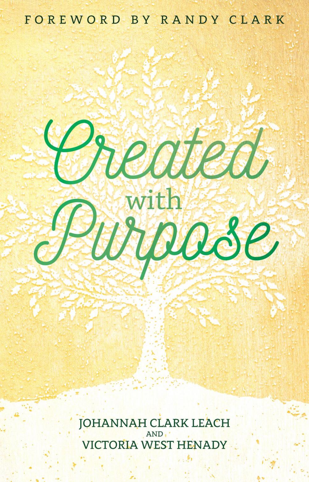 Big bigCover of Created with Purpose