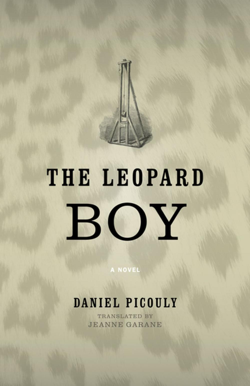 Big bigCover of The Leopard Boy