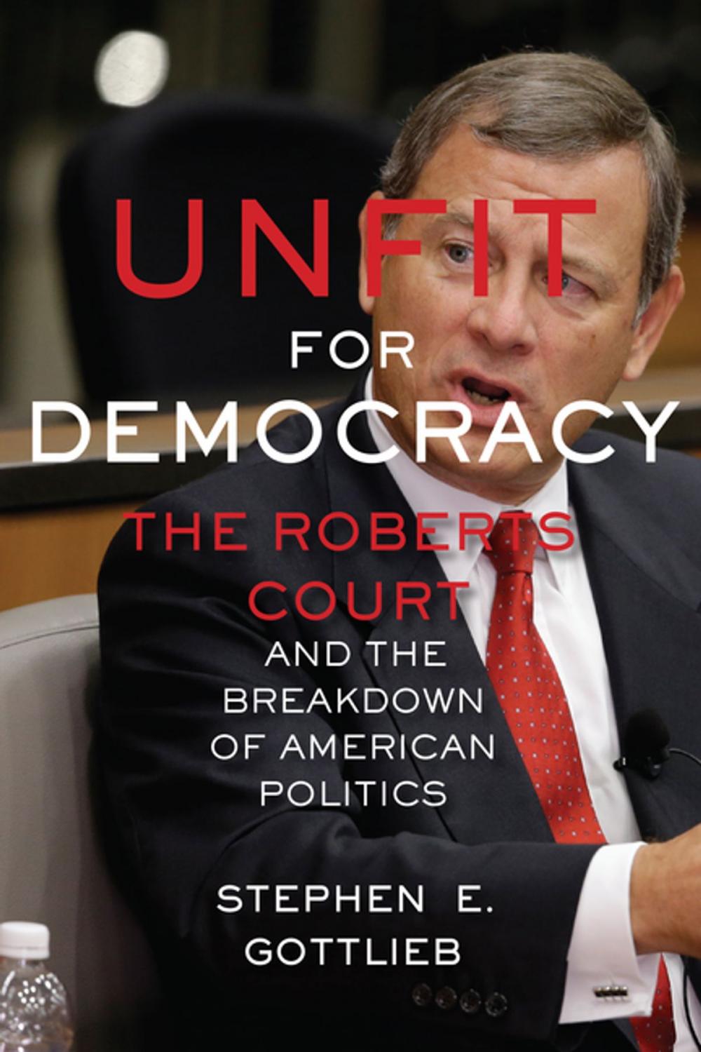 Big bigCover of Unfit for Democracy