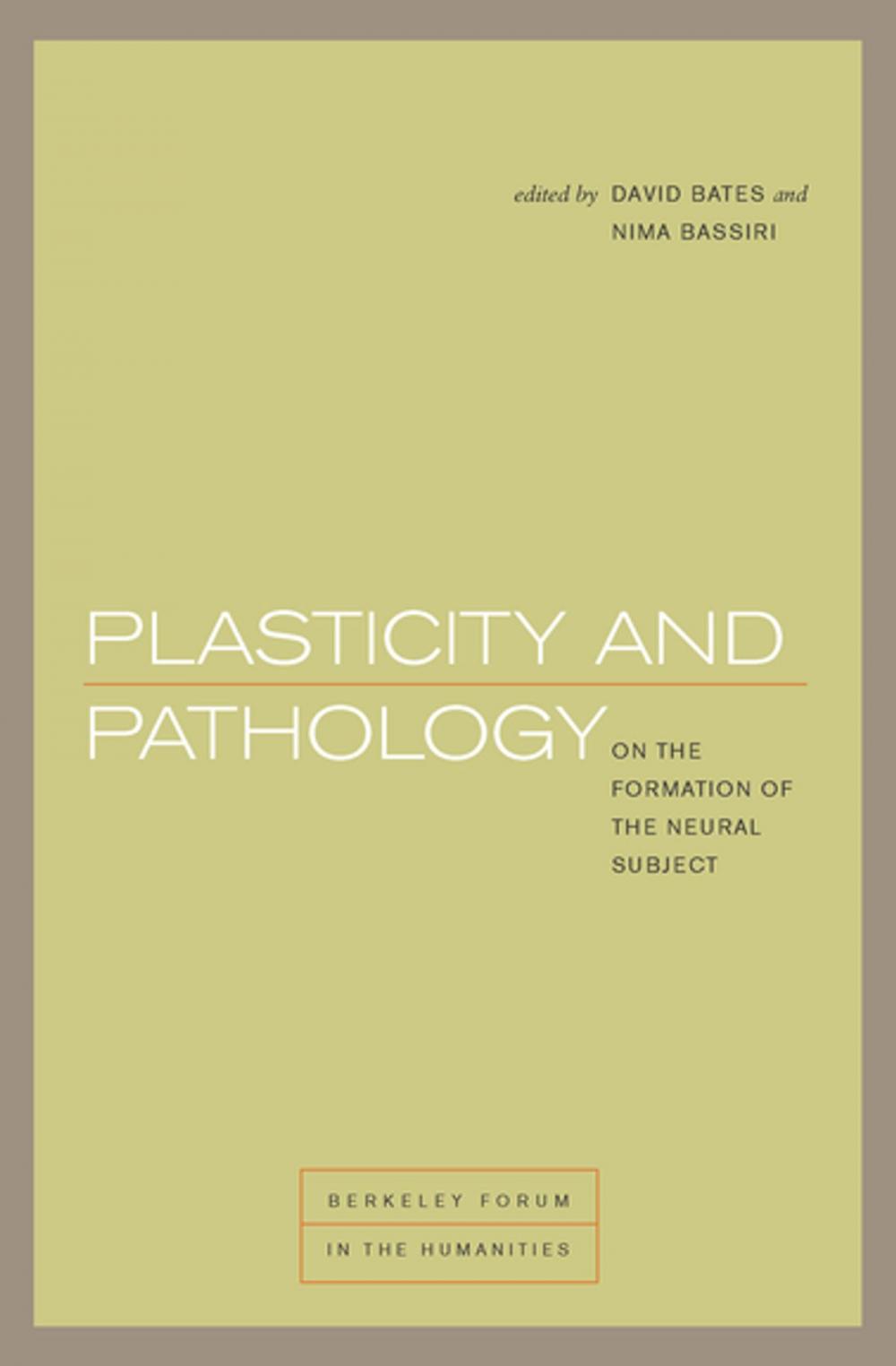 Big bigCover of Plasticity and Pathology