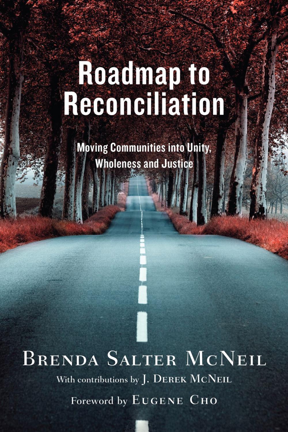 Big bigCover of Roadmap to Reconciliation