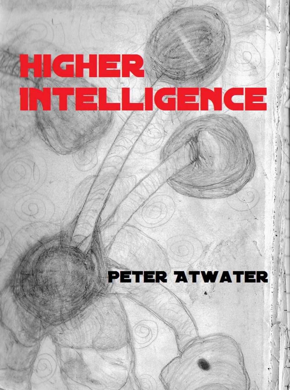 Big bigCover of Higher Intelligence