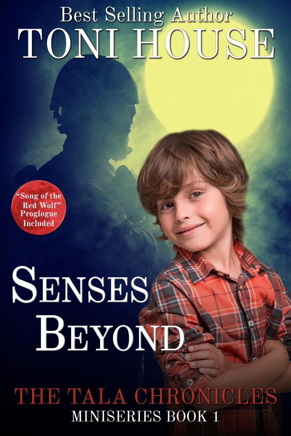 Big bigCover of Senses Beyond