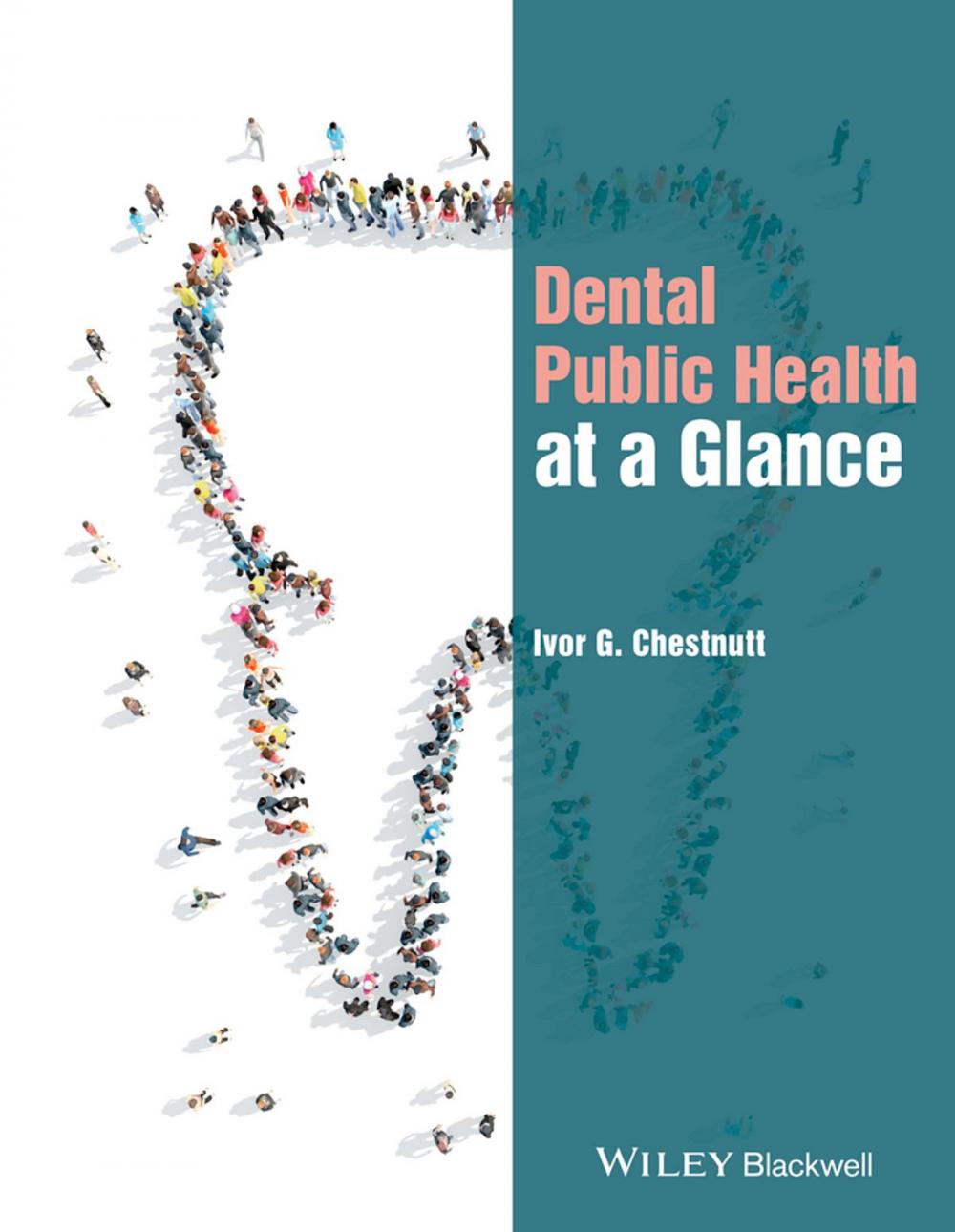 Big bigCover of Dental Public Health at a Glance