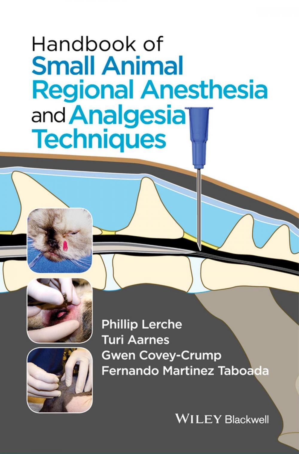 Big bigCover of Handbook of Small Animal Regional Anesthesia and Analgesia Techniques