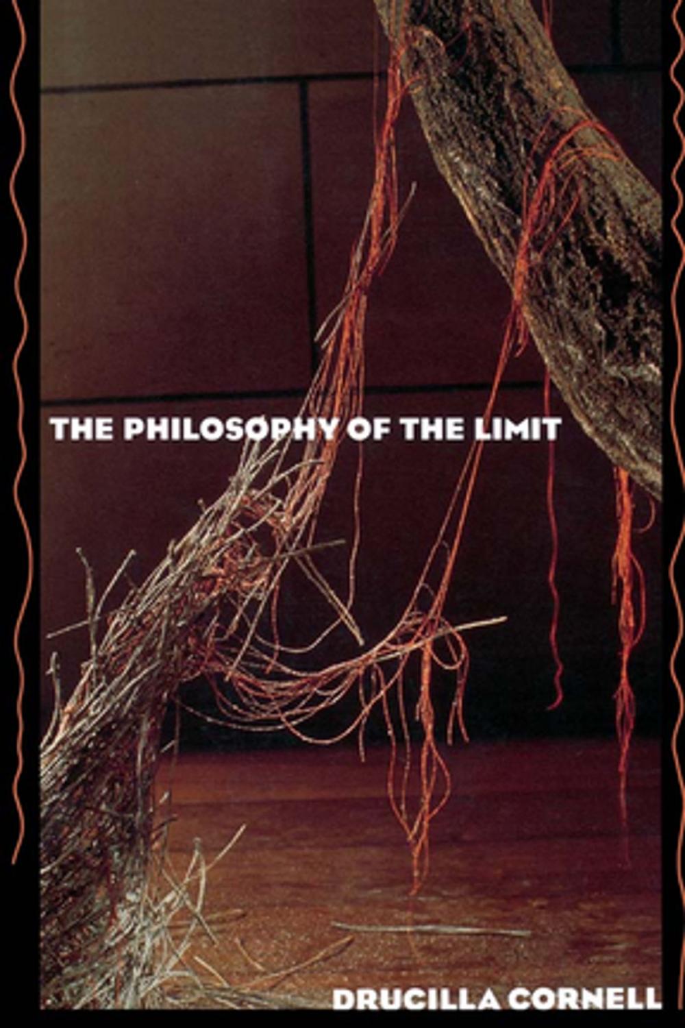 Big bigCover of The Philosophy of the Limit