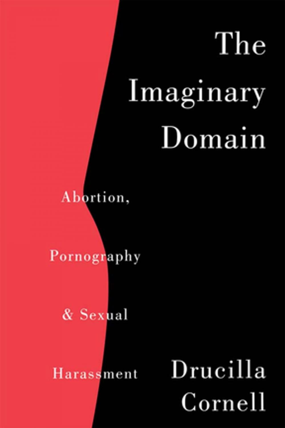 Big bigCover of The Imaginary Domain