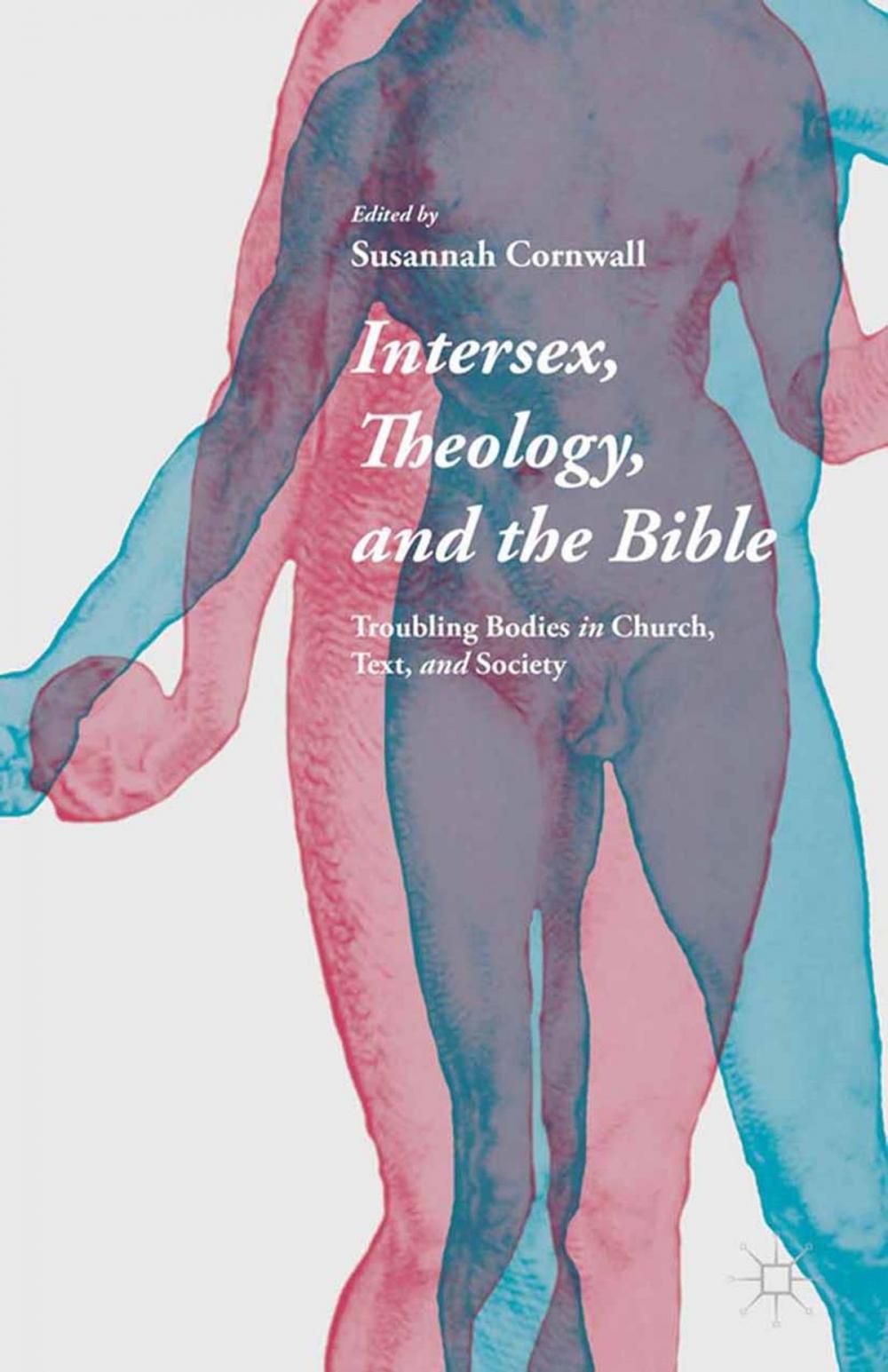 Big bigCover of Intersex, Theology, and the Bible