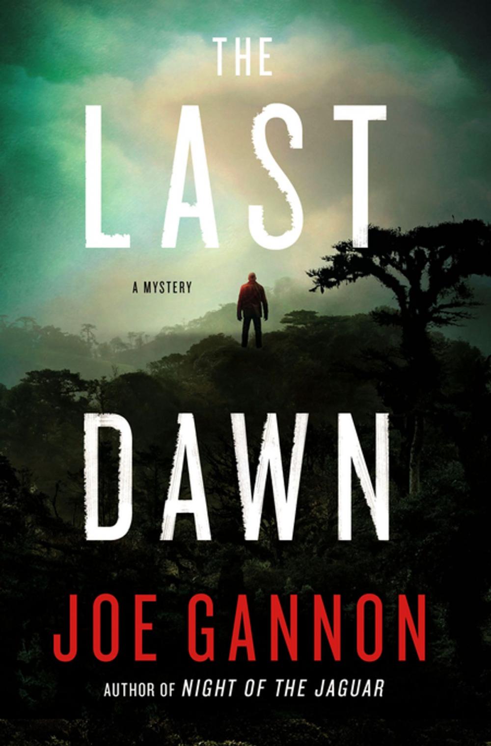 Big bigCover of The Last Dawn