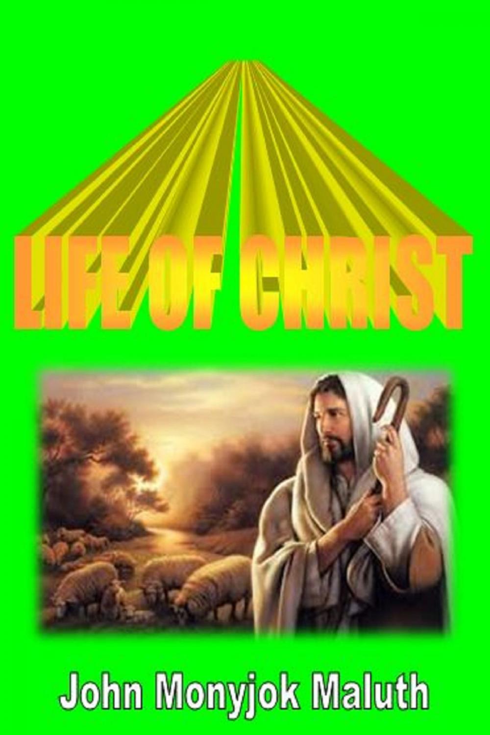 Big bigCover of Life of Christ