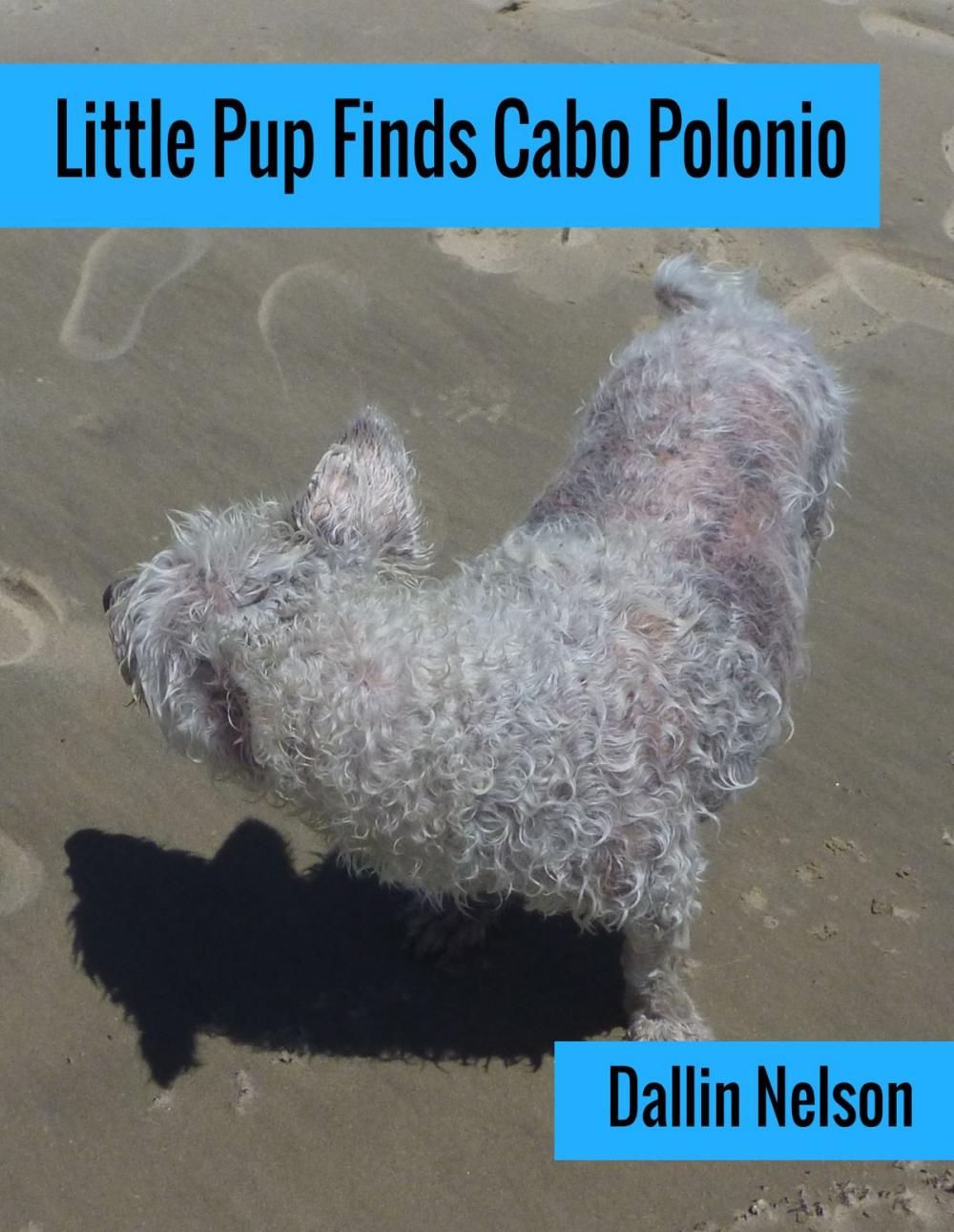 Big bigCover of Little Pup Finds Cabo Polonio