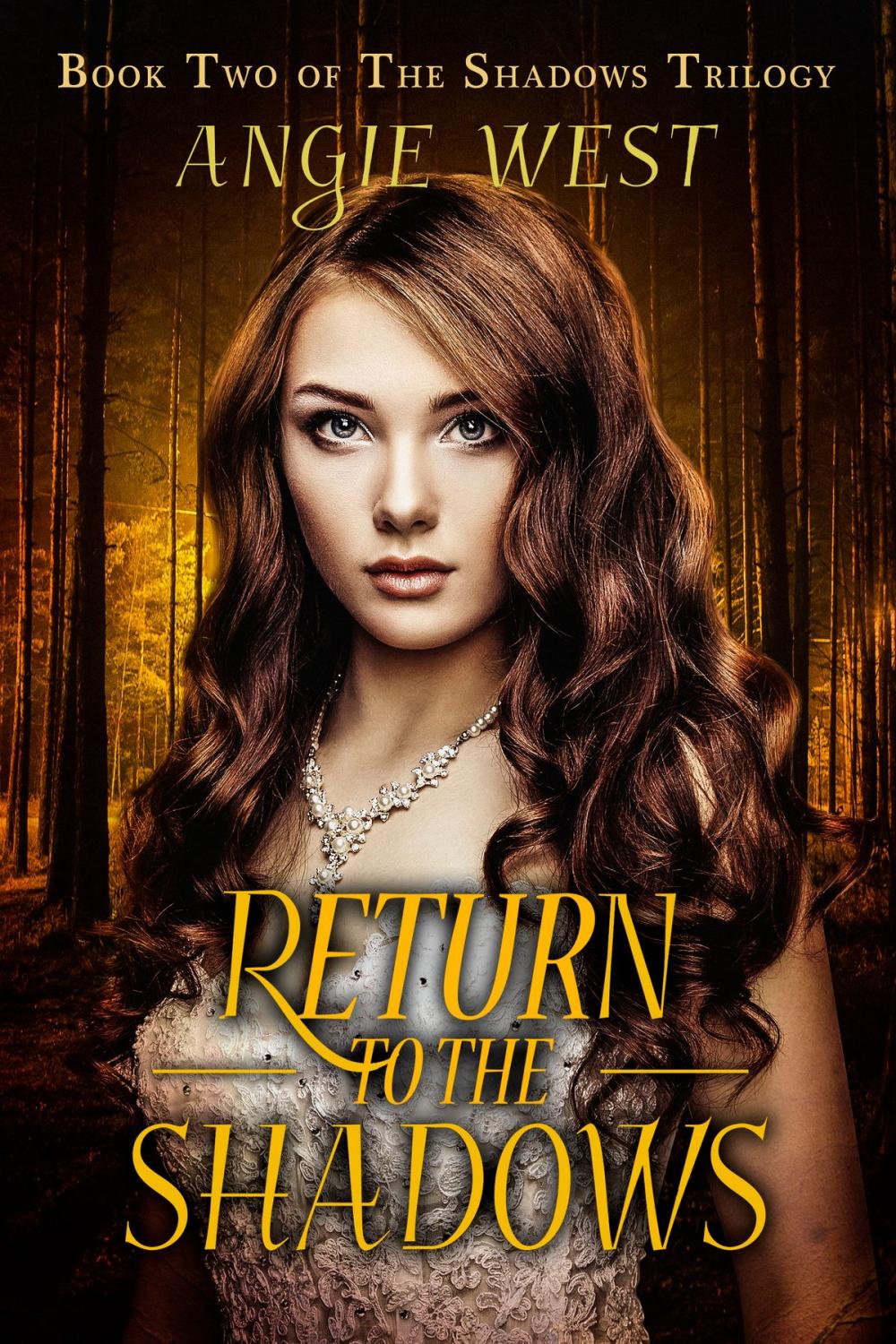 Big bigCover of Return to the Shadows (Shadows #2)