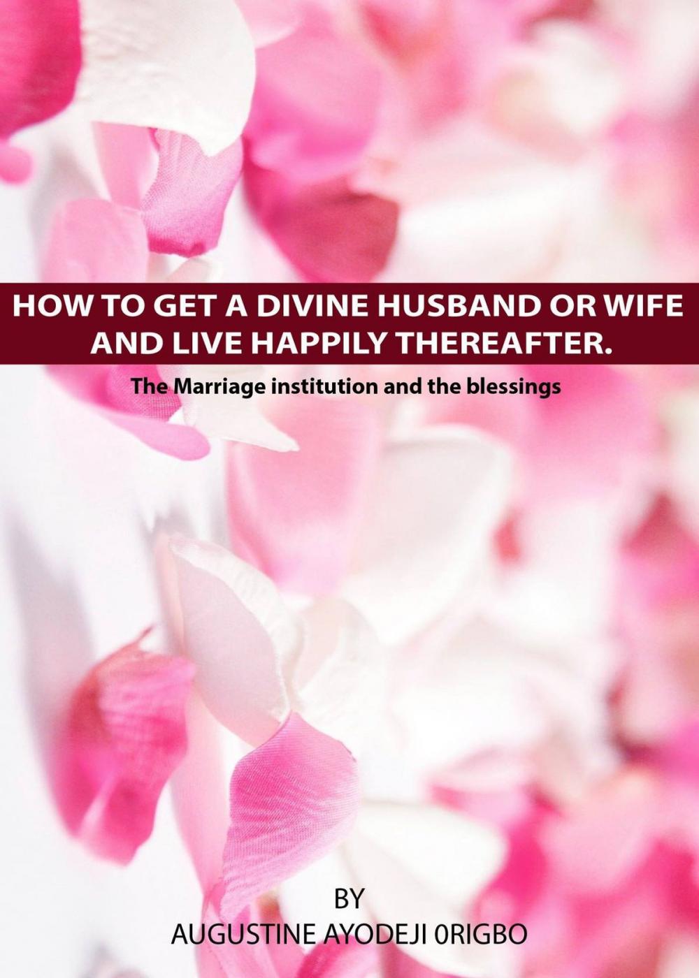 Big bigCover of How To Get A Divine Husband Or Wife And Live Happily Thereafter.(The Marriage institution and the blessings)