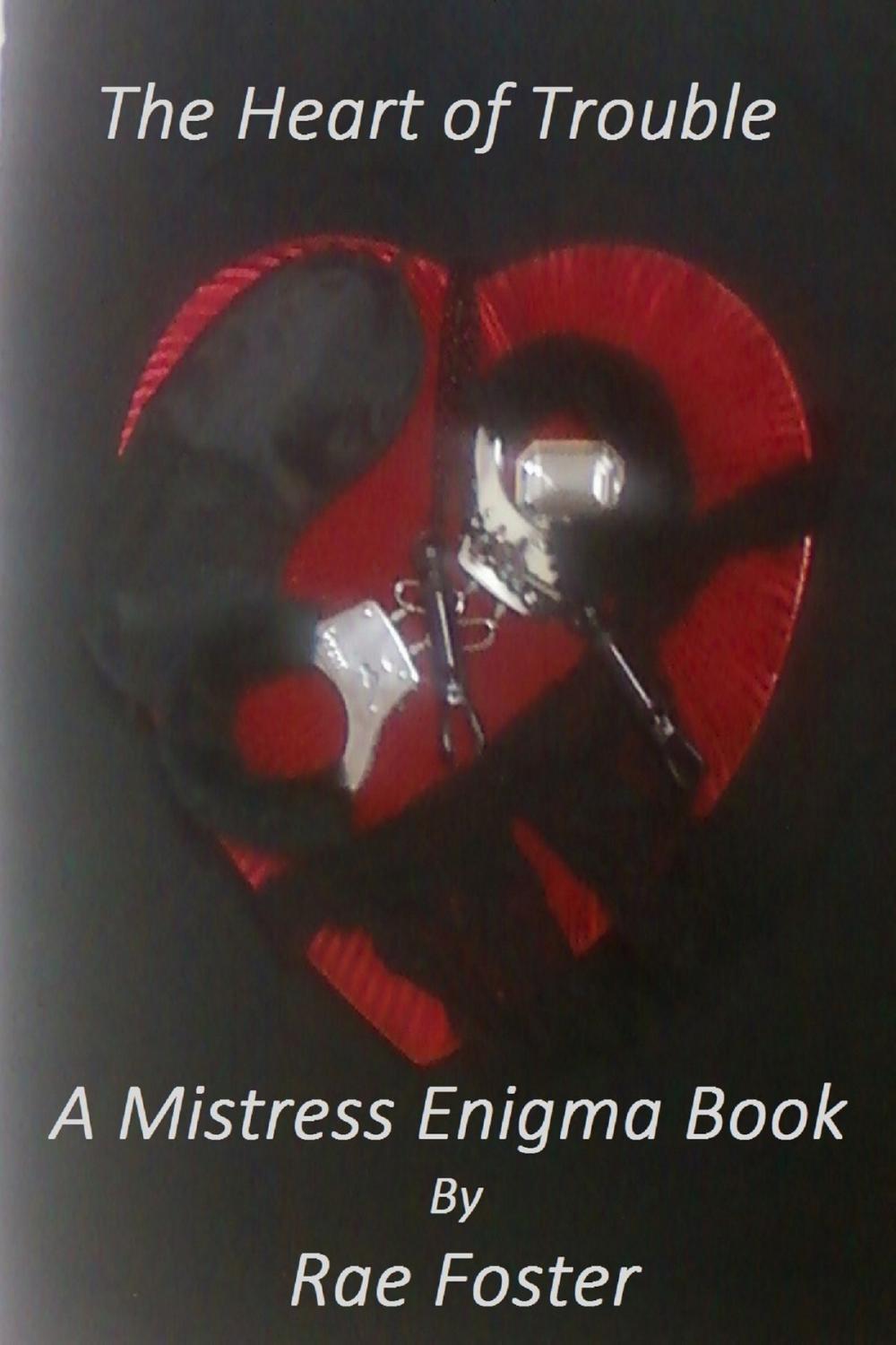 Big bigCover of The Heart of Trouble: A Mistress Enigma Book