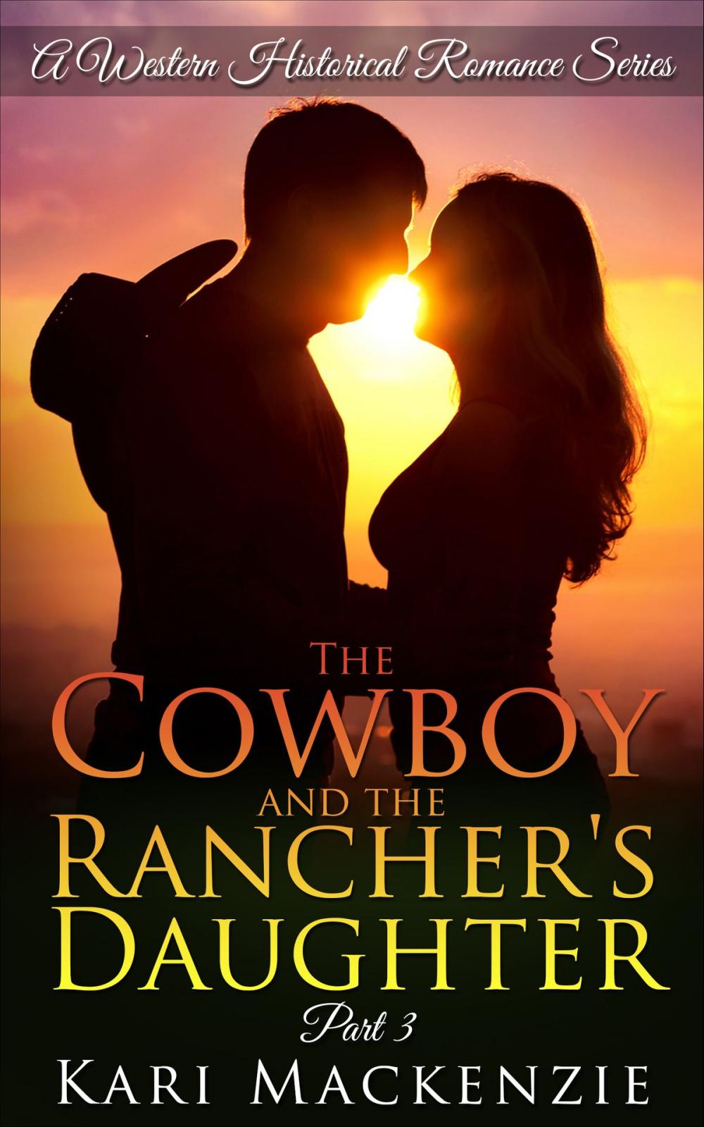 Big bigCover of The Cowboy and the Rancher's Daughter Book 3