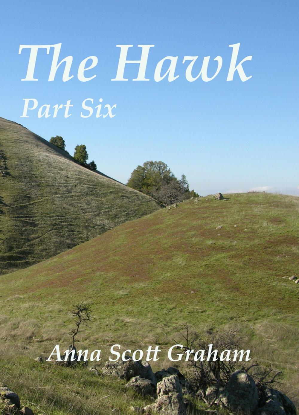 Big bigCover of The Hawk: Part Six