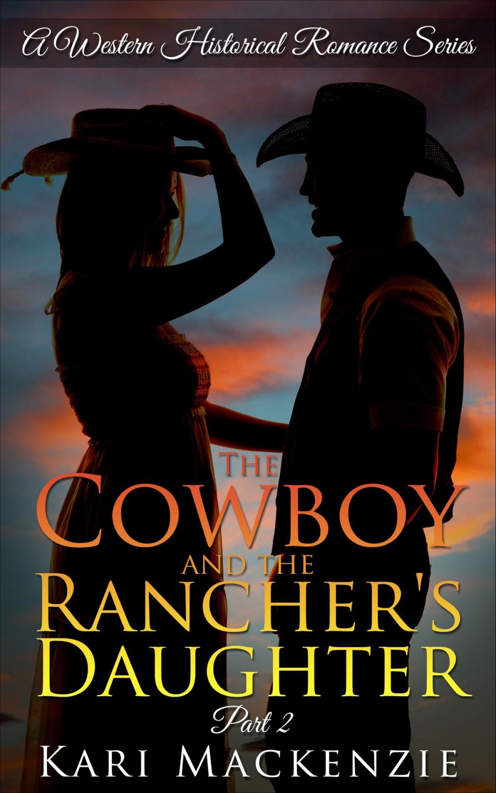 Big bigCover of The Cowboy and the Rancher's Daughter Book 2