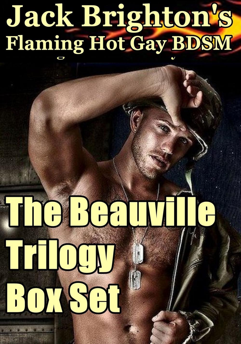 Big bigCover of The Beauville Trilogy Box Set