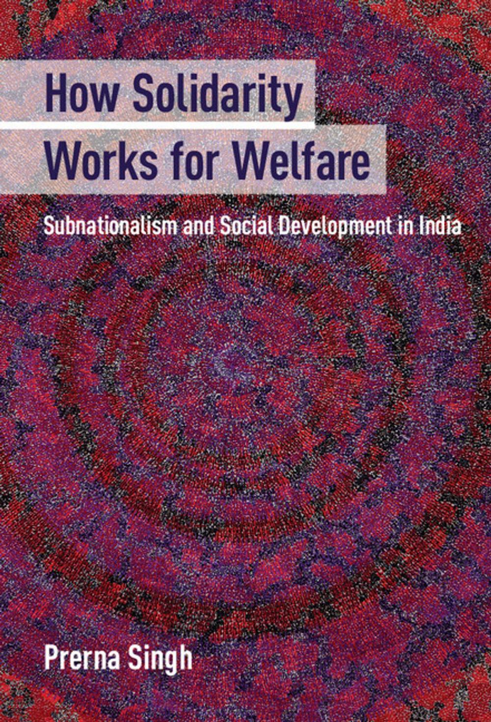 Big bigCover of How Solidarity Works for Welfare
