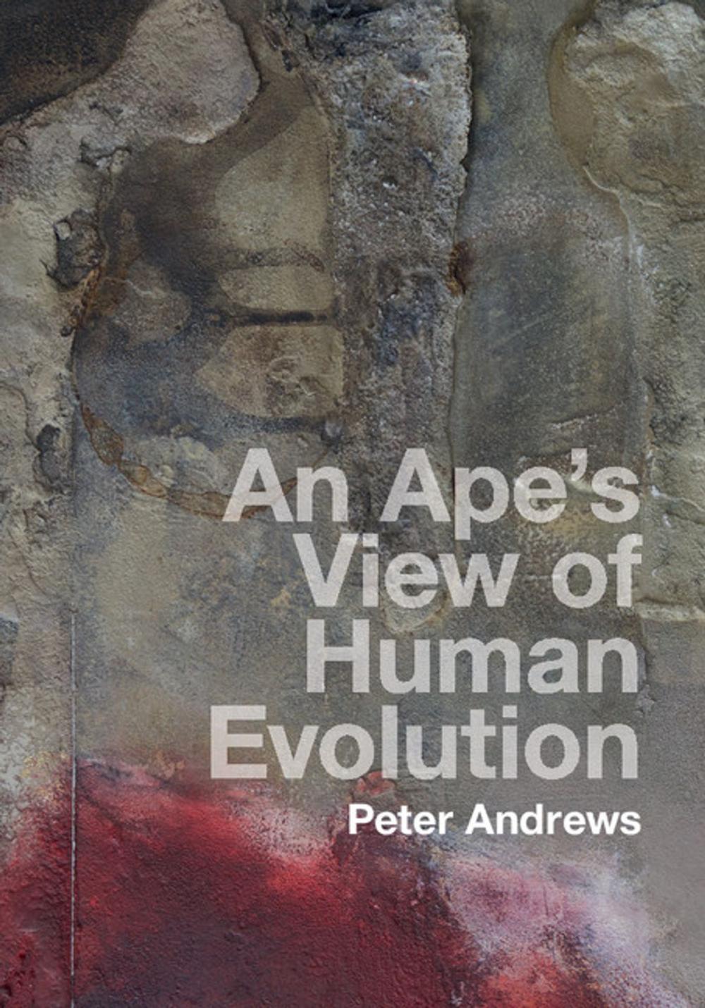 Big bigCover of An Ape's View of Human Evolution