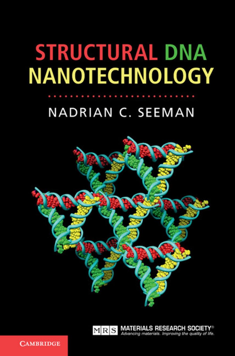 Big bigCover of Structural DNA Nanotechnology