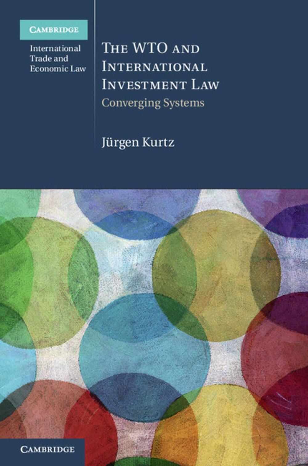 Big bigCover of The WTO and International Investment Law