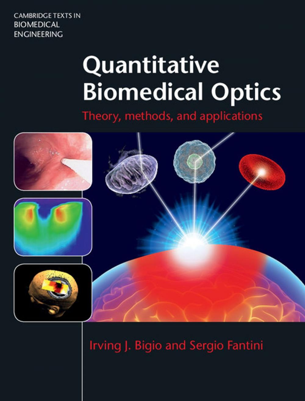 Big bigCover of Quantitative Biomedical Optics