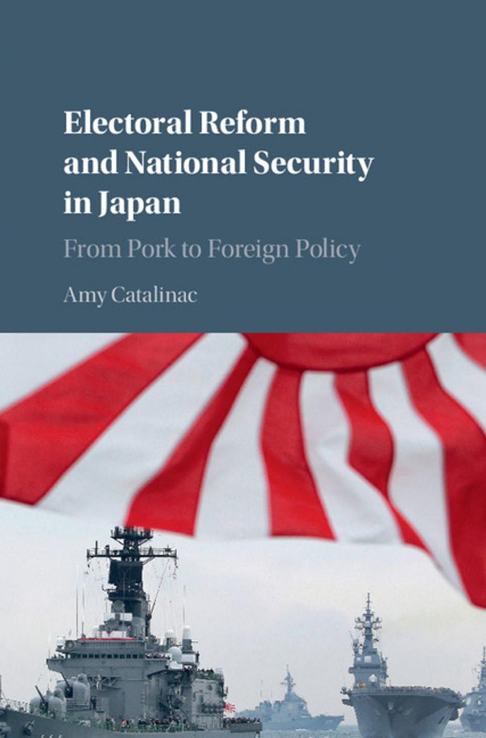Big bigCover of Electoral Reform and National Security in Japan