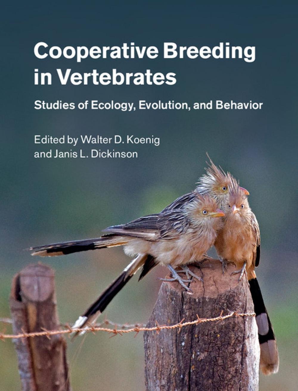 Big bigCover of Cooperative Breeding in Vertebrates