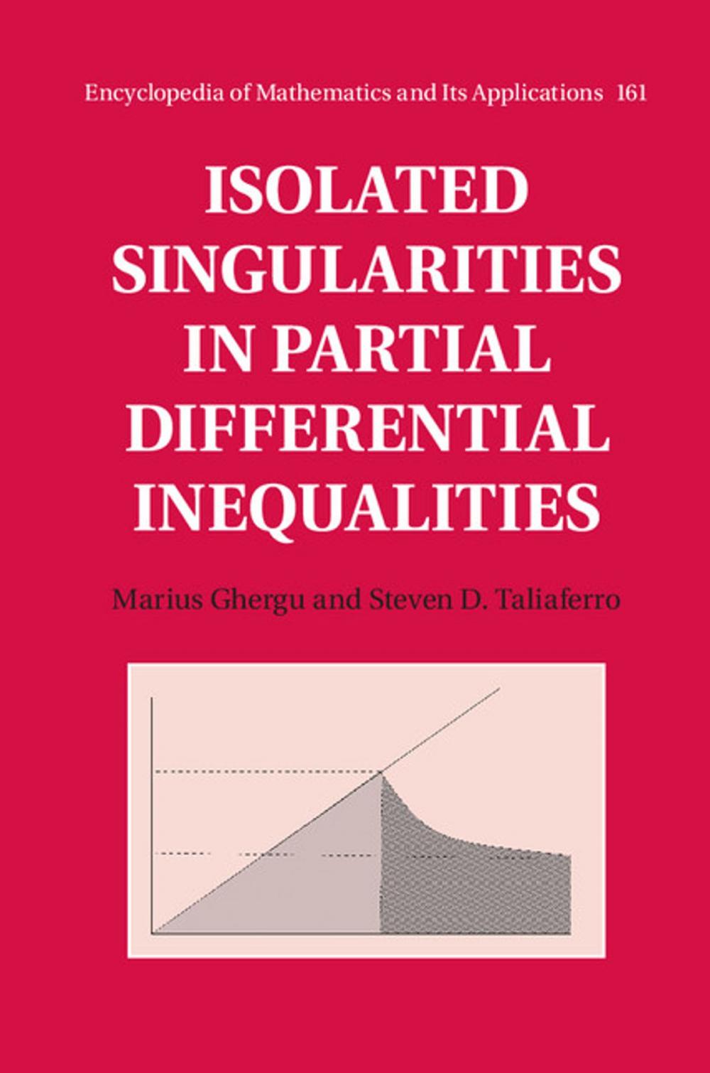 Big bigCover of Isolated Singularities in Partial Differential Inequalities