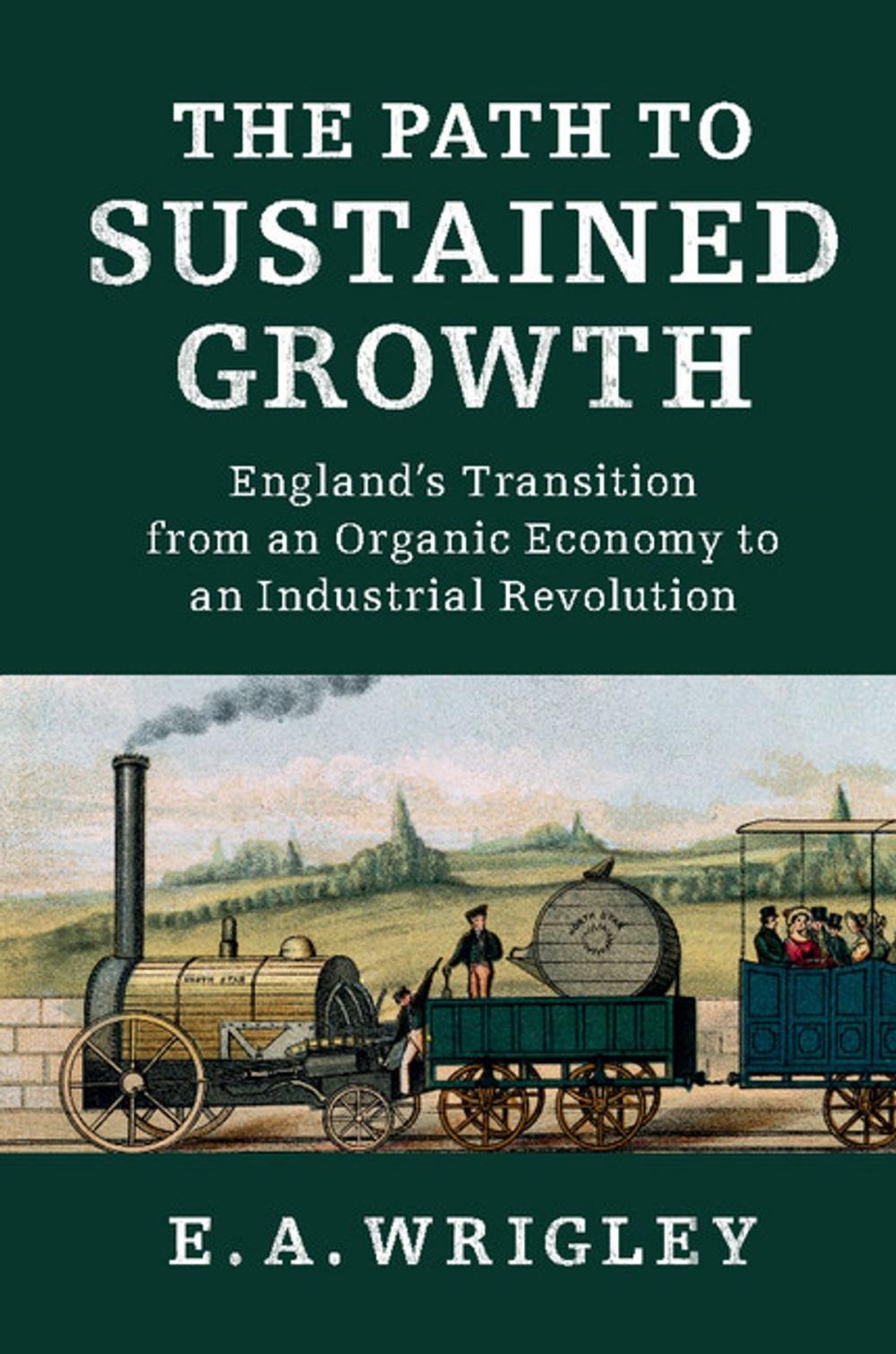 Big bigCover of The Path to Sustained Growth