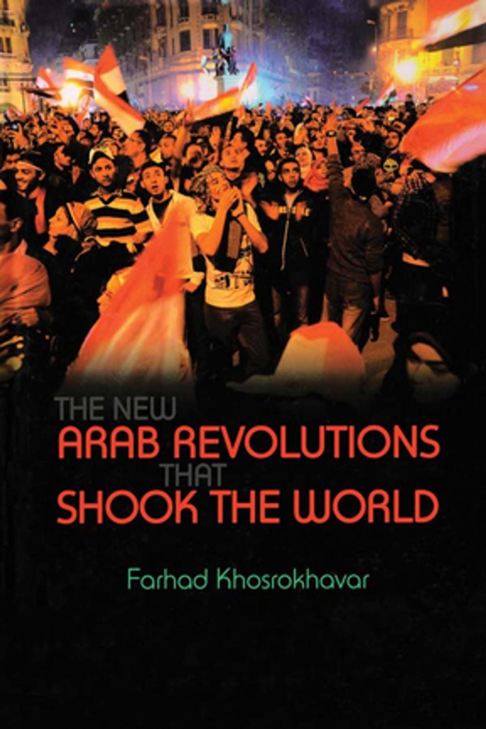 Big bigCover of New Arab Revolutions That Shook the World