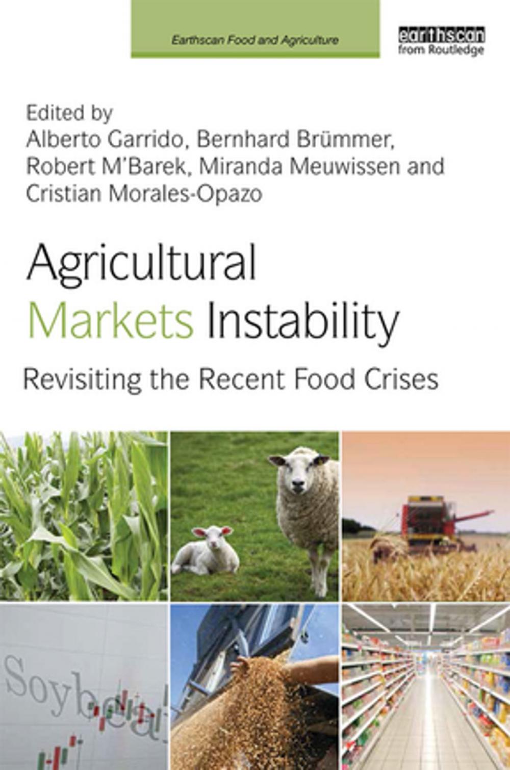 Big bigCover of Agricultural Markets Instability