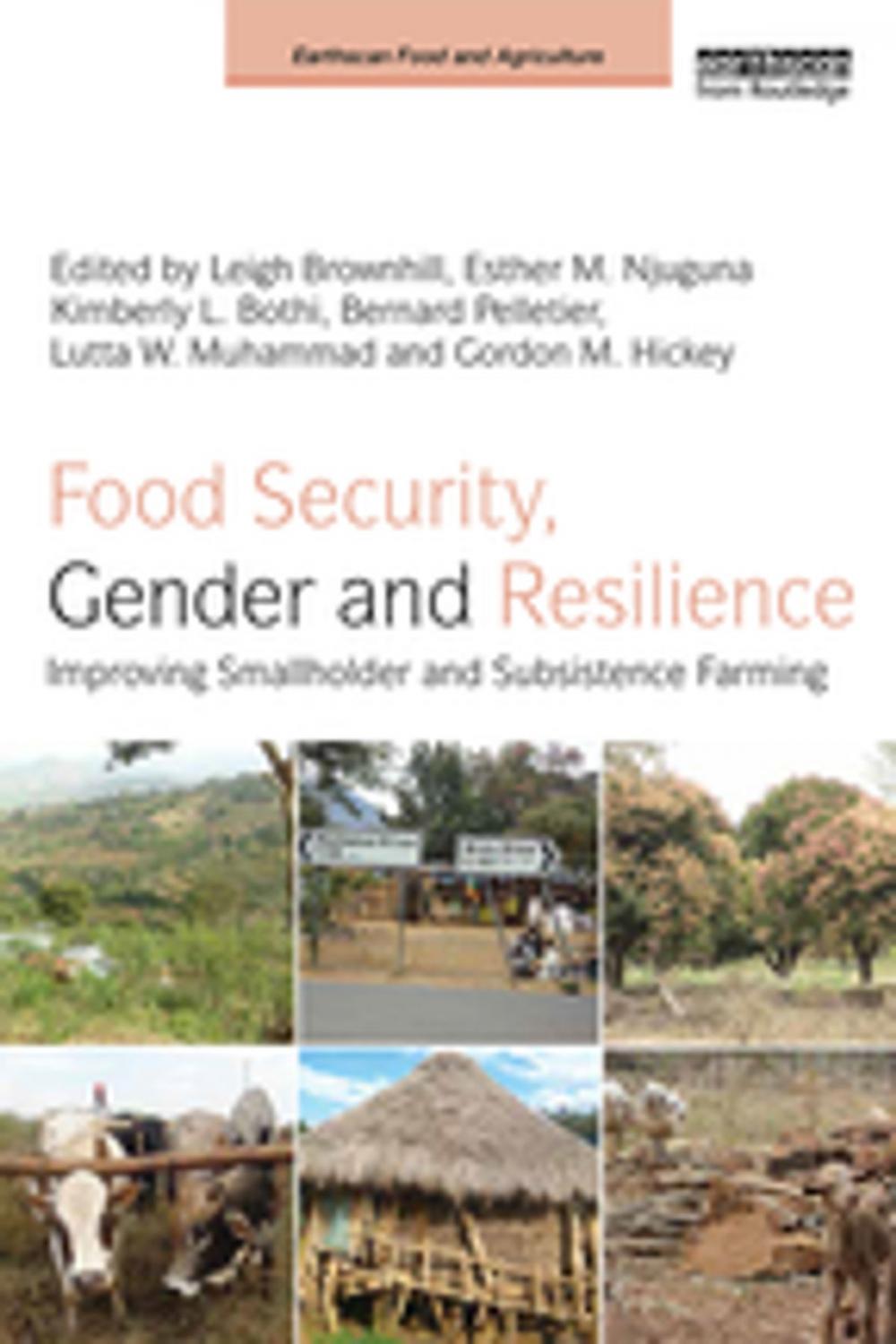 Big bigCover of Food Security, Gender and Resilience